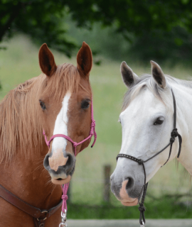 Nagłówek - 2025-08-14T151413.955