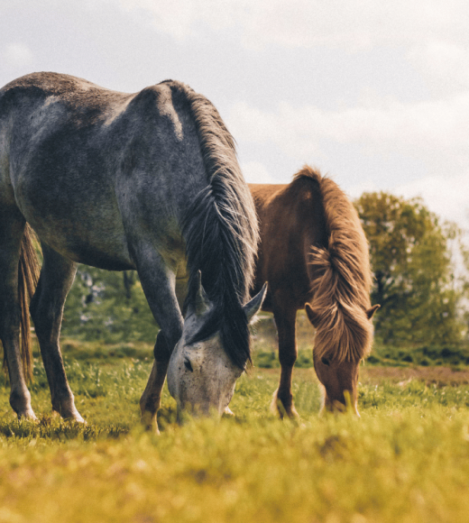 Nagłówek - 2025-08-14T151457.119